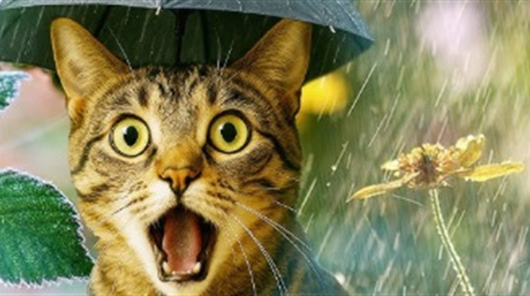 Увесь найближчий тиждень суттєвого тепла не буде