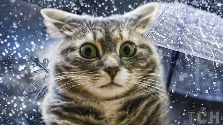 Сніг, дощ та "плюси": яку погоду прогнозують синоптики в другій половині тижня