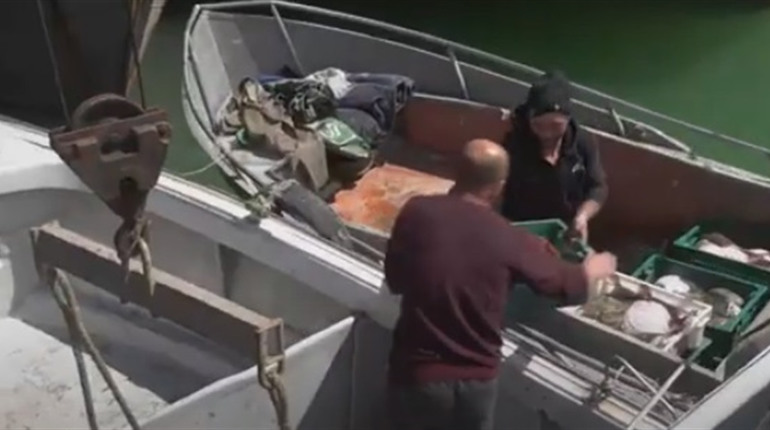 Окупанти грабують рибні ресурси Херсонщини