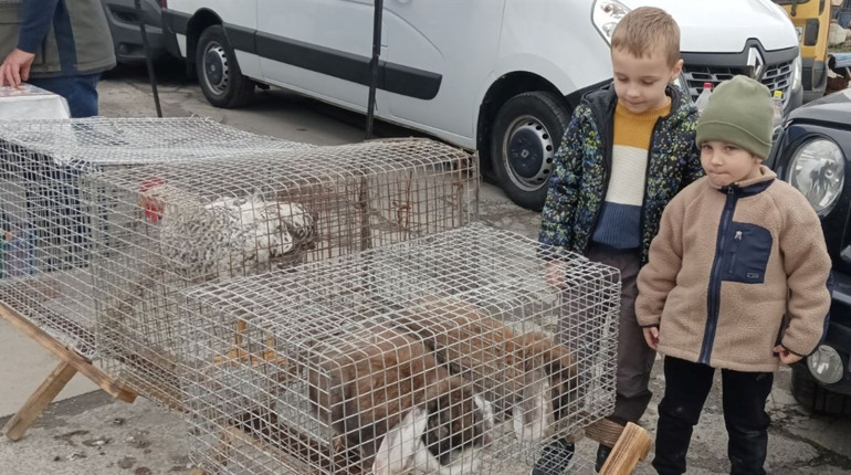 У Старокостянтинові відбувся весняний сільськогосподарський ярмарок птахівництва та тваринництва