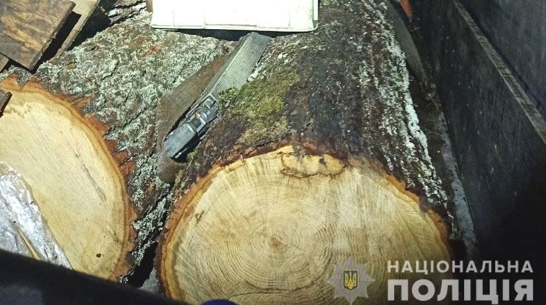 На Сарненщині зупинили вантажівку з незаконною деревиною