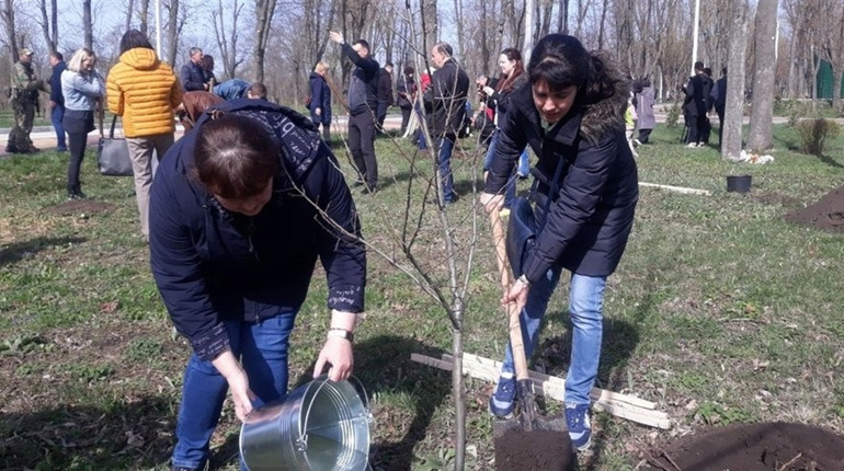 У Кропивницькому з'явились дерева на честь міста-героя Херсона