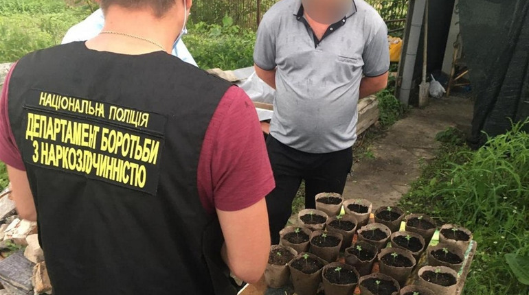 І знову про наркорослини, які вирощують на присадибних ділянках підприємливі мелітопольці