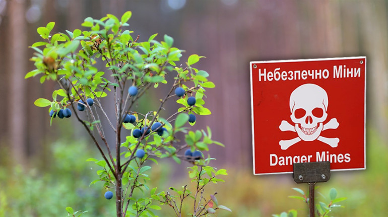 У громадах Сарненського району діє заборона на перебування в лісі: де та чому