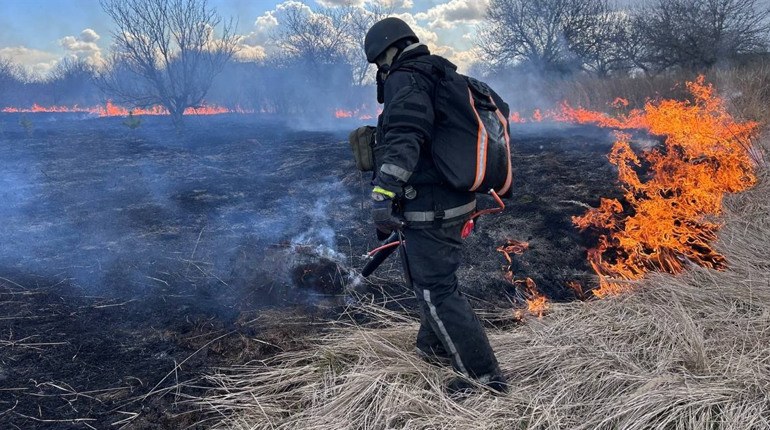 Дорого та небезпечно: який штрафний прайс діє для паліїв трави на Сумщині