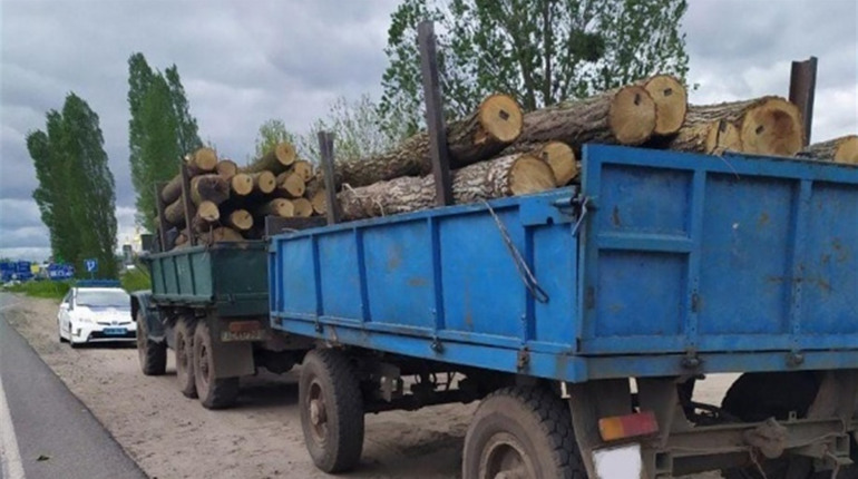 У селі Красносілля зупинили тракториста, який перевозив незаконно зрубану деревину