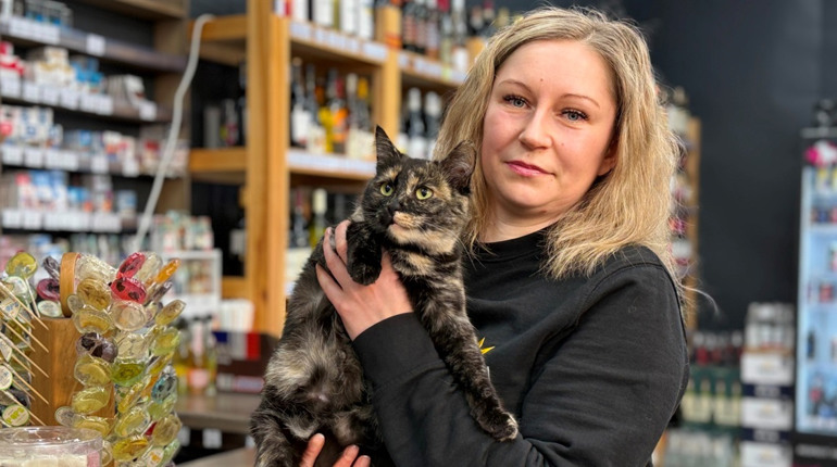 Кішка Мурка: покупців магазину в Глухові зустрічає пухнаста продавчиня