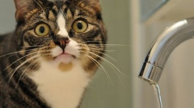 Аварія на водопроводі у Звягелі: кілька вулиць без води – працює аварійна бригада