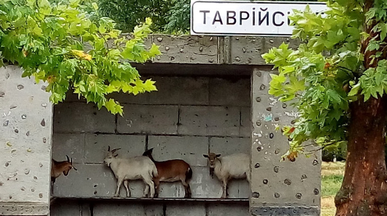 Освітянку з ТОТ Херсонщини заочно засудили на 11 років за пособництво РФ