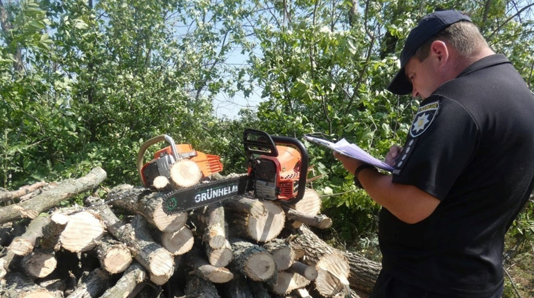 У Сватівському районі на Білокуракинщині четверо чоловіків незаконно рубали деревину: подробиці