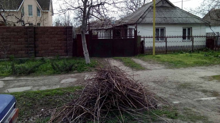 Ціна питання: біляївці почали користуватися послугою КП «Наш дім» вивозу лози і гілля. Як це працює