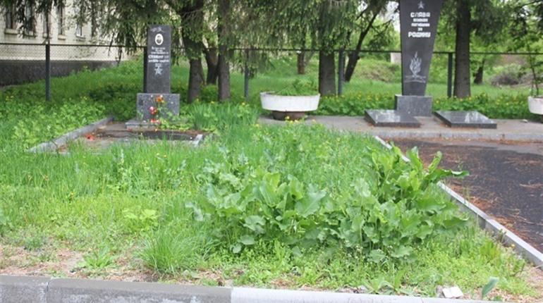У День пам’яті на могилах росте бур’ян: недоглянуті солдатські поховання на вулиці Шевченка