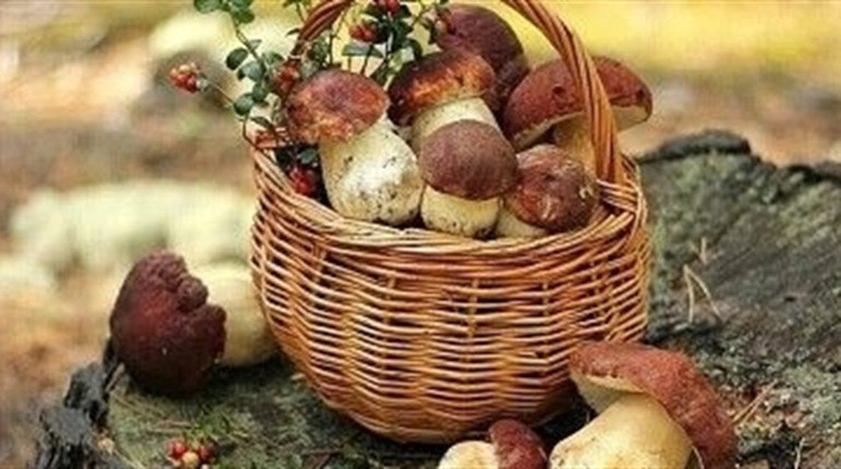 Мариновані грибочки: топові рецепти для сезону
