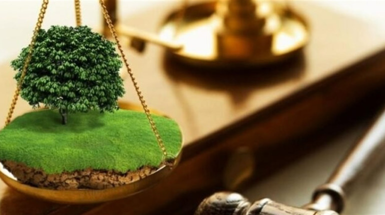 Завдяки прокурорам 60 га землі природно-заповідного фонду повернуть у державну власність