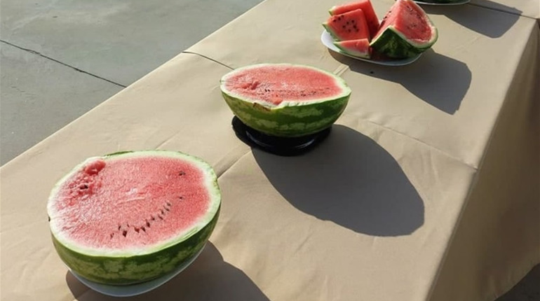 До Києва прибула баржа з херсонськими кавунами — розповідаємо, коли кавуни з'являться у продажу