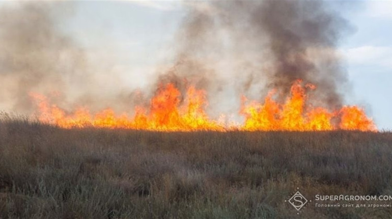 На полях вздовж Каховського водосховища масштабні пожежі (фото)