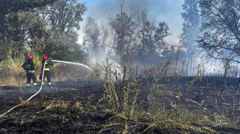 Понад 270 пожеж в екосистемах Нікопольщини: рятувальники нагадують про штрафи за підпал сухої трави