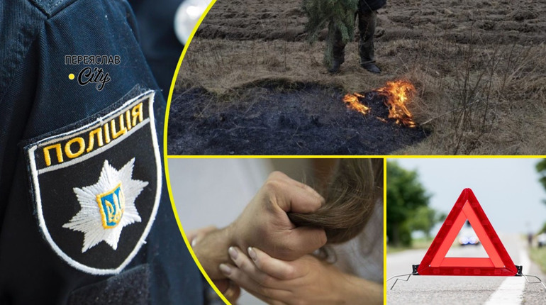 У Переяславі чоловік побив жінку: про це в поліцію заявила дочка