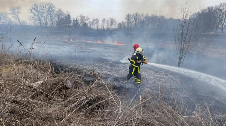 34 пожежі за тиждень: мешканці Уманщини продовжують спалювати свою землю