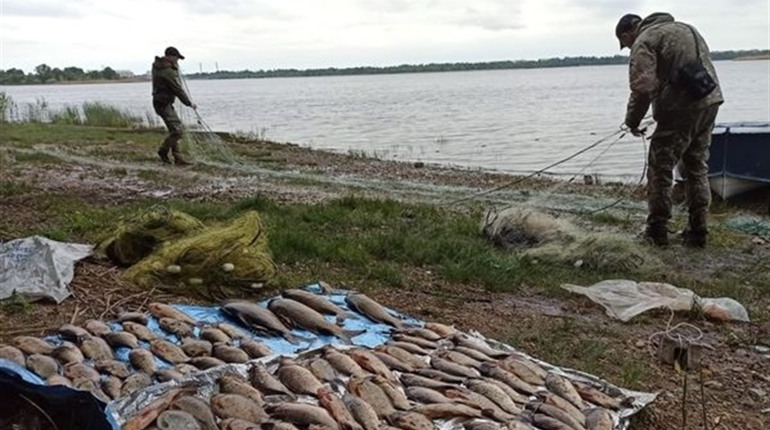 Піймали двох браконьєрів