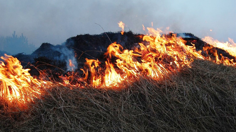 Паліїв розорять: в Уряді в десятки разів підвищили штрафи за підпал сухостою та забруднення повітря