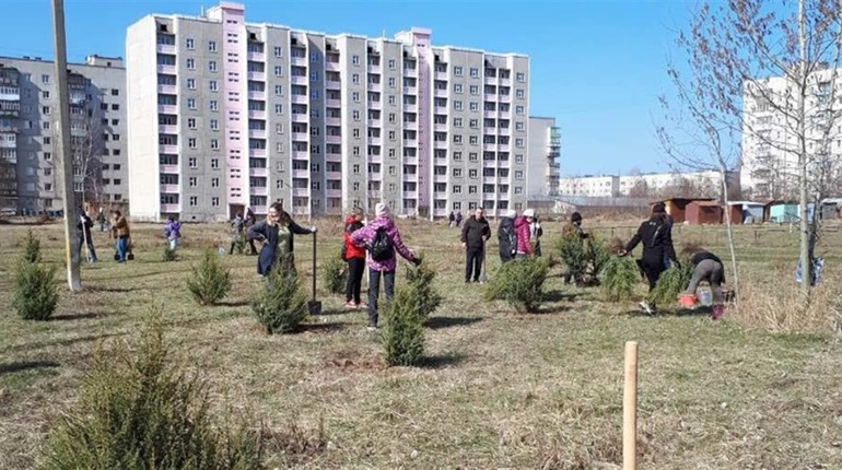 Шосткинців запрошують на весняну толоку