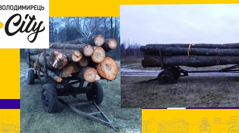 Поліцейські вилучили понад 4 кубічних метри лісу неподалік села Журавлине. Про що мова?