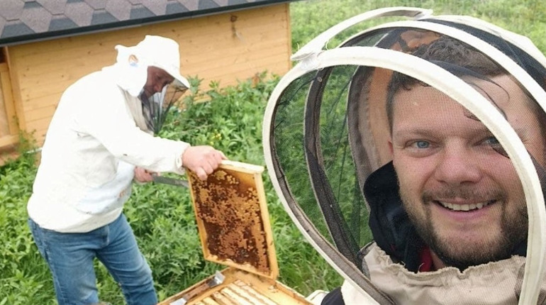 “Як бджола”: кабанчики орють землю, діти гладять кіз, фермери вирощують органічні ягоди