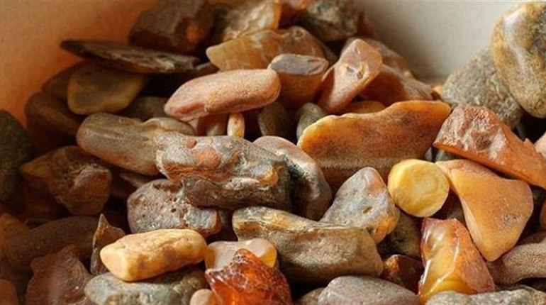 На території заповідника видобував бурштин: жителя Сарненського району судитимуть