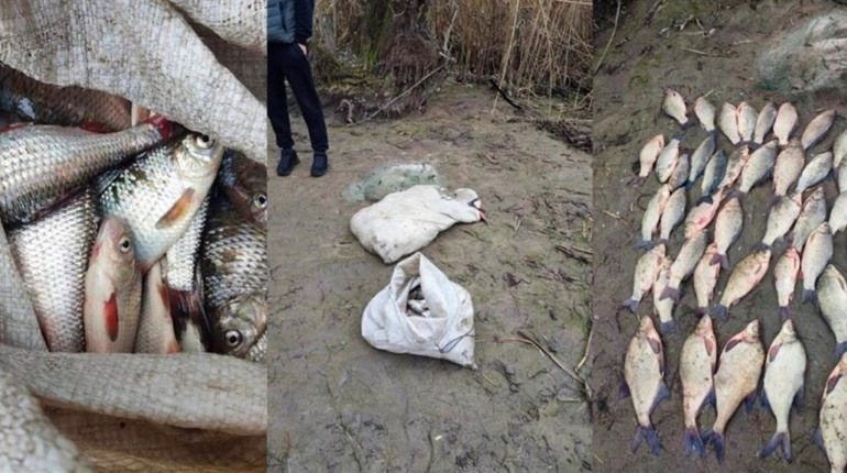 На Черкащині затримали браконьєра з уловом на понад 267 тисяч гривень