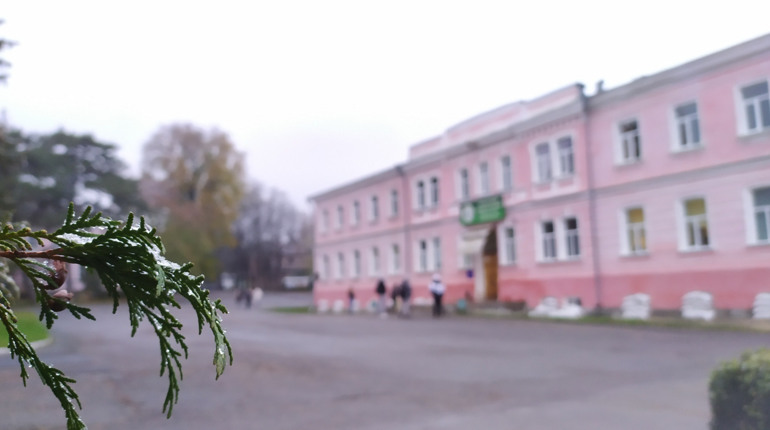 Сніг, дощ, ожеледиця, вітер: прогноз погоди в Умані на другу половину останнього тижня листопада