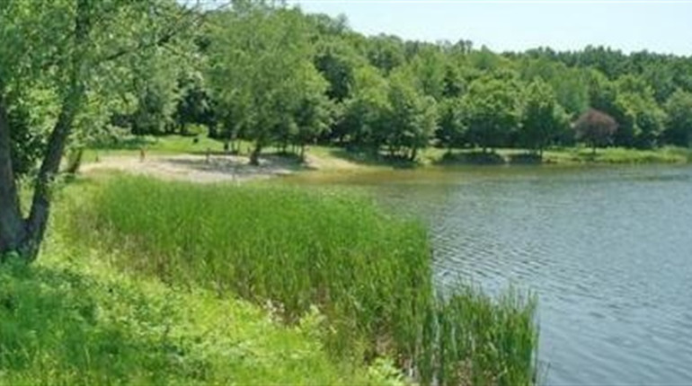 На Кременеччині організовують конкурс для рибалок аби зібрати кошти для ЗСУ