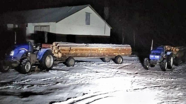 У Вараському районі поліцейські «на гарячому» впіймали крадіїв лісу
