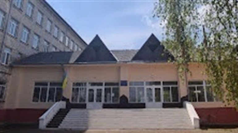 Які школи Буковини можуть стати ліцеями з профільною освітою: перелік