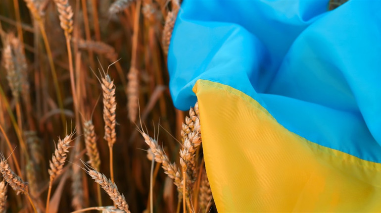 Серпень 2025: нові правила, виплати та зміни для українців