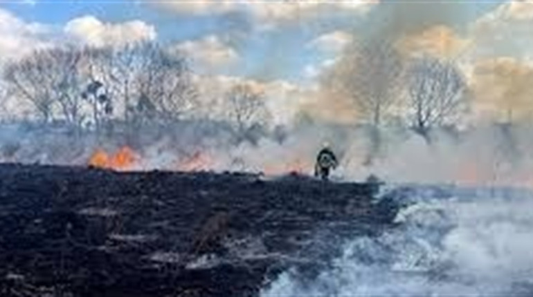 У Шосткинській громаді посилюють контроль за спалювання сухостою