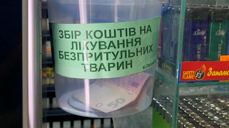 Кременецькі волонтери розпочали акцію із збирання коштів на стерилізацію безпритульних тварин