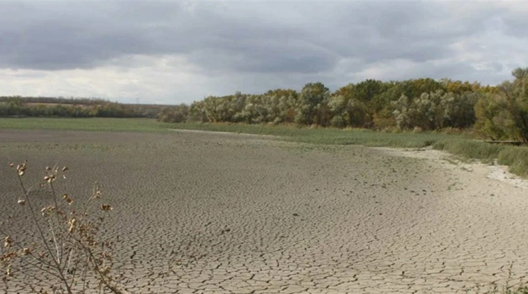 Окупаційна влада скаржиться на втрати врожаю на Херсонщині після підриву Каховської ГЕС