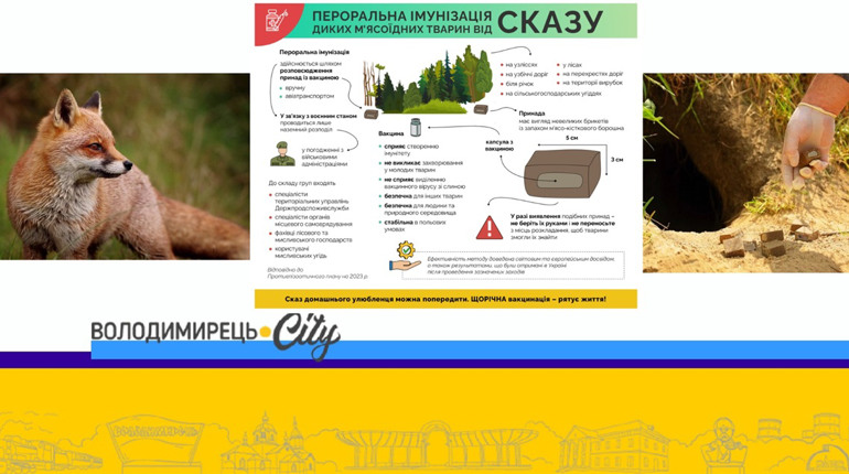 На Рівненщині будуть розкидати вакцину від сказу