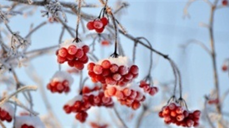 Синоптики розповіли, якої погоди чекати у грудні