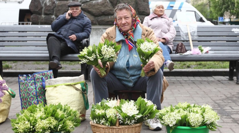 Першоцвіти – під забороною. Чому їх не можна продавати та купувати