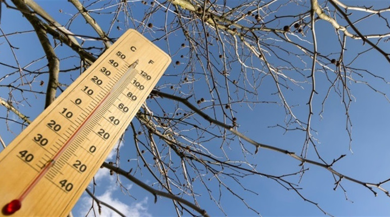 Погода у Нетішині та в області на 11 березня
