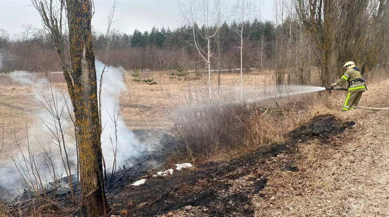 У Люджі рятувальники гасили пожежу, аби вогонь не перейшов на ліс