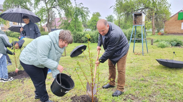 У Дмитрівці на вишневій алеї "Жива пам’ять" з’явилося 9 нових дерев – на честь полеглих захисників