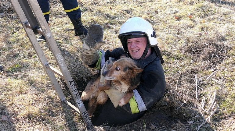 В сусідньому Ямполі рятувальники витягнули з відкритого люка собаку