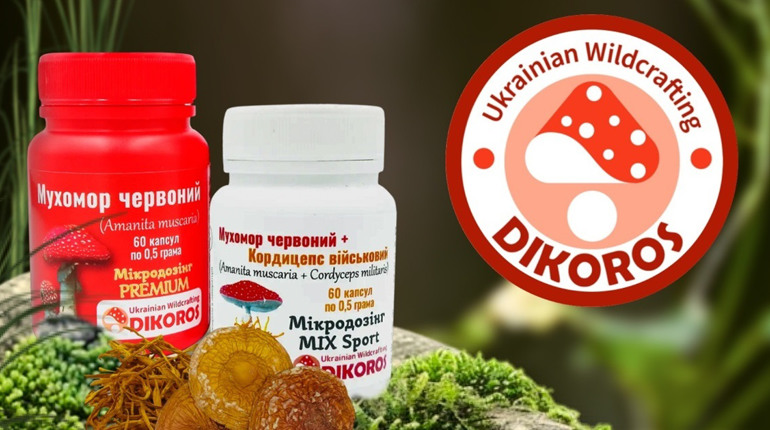 Чому багато людей обирають мікродозинг червоного мухомора для підтримки нервової системи?