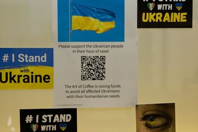 Мовний бар'єр, робота та житло. З якими проблемами зіштовхуються українці в Ірландії?