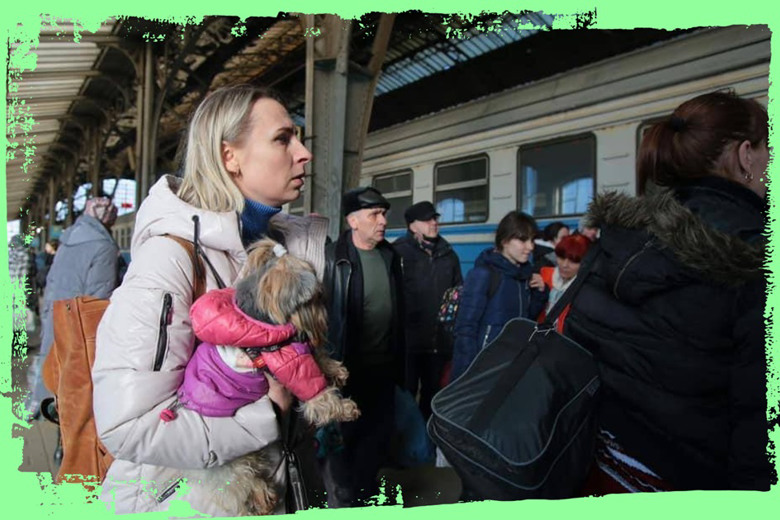 Чи планують переселенці повертатися додому: результати дослідження