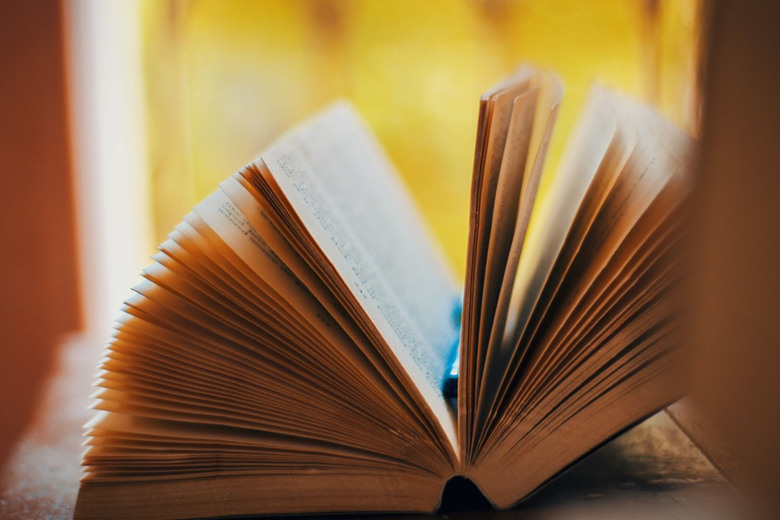 Лялька Кола та дитячий погляд на війну: військовий пише книгу про евакуацію