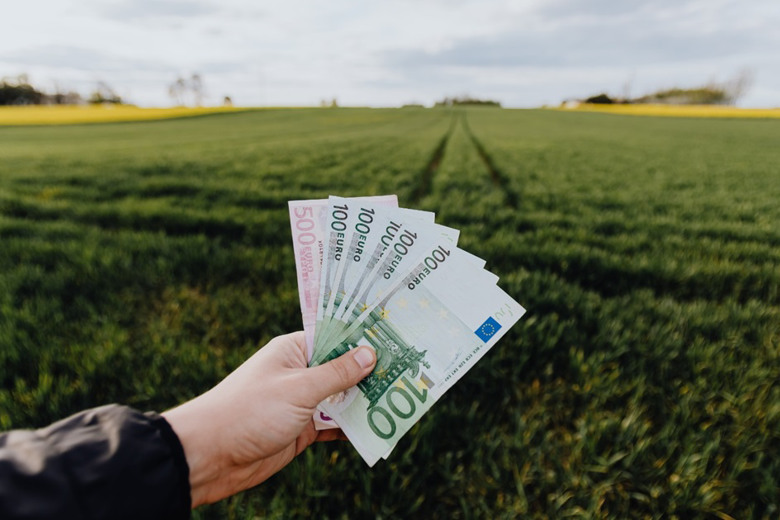 Норвегія платитиме переселенцям за повернення додому: скільки можна отримати?